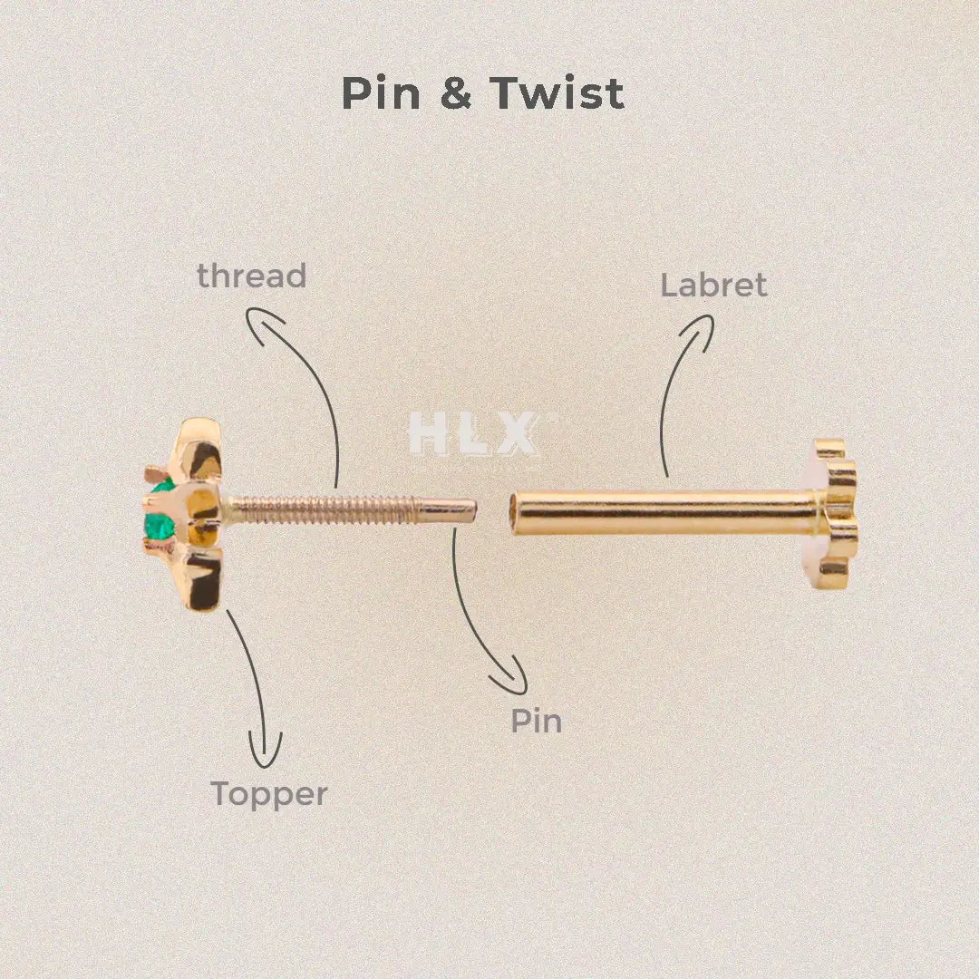 Elegance Crafted to Perfection