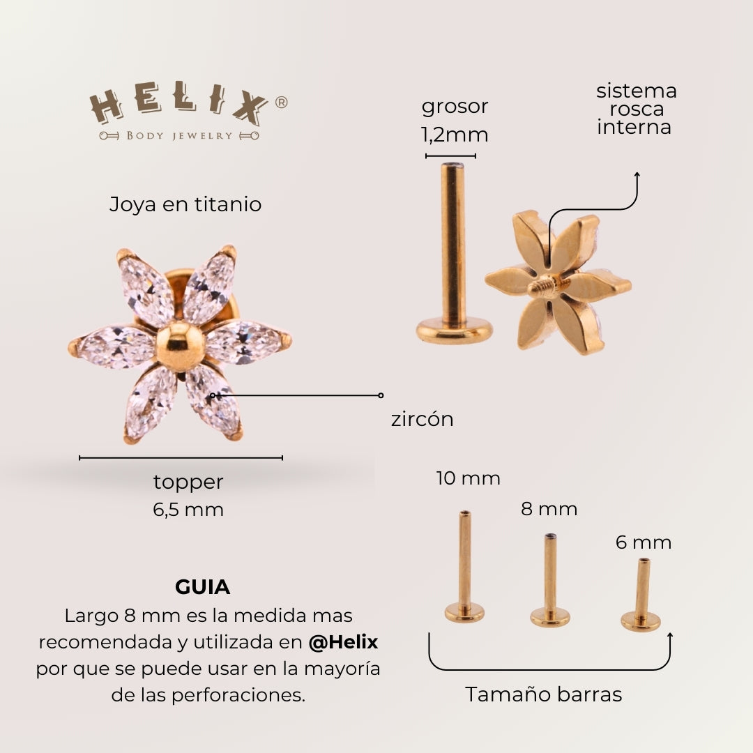 Labret Azalea Dorada en Titanio Grado Implante con Zirconias